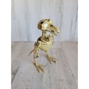 Pirate Crow skeleton Halloween prop home decor scary bird figure